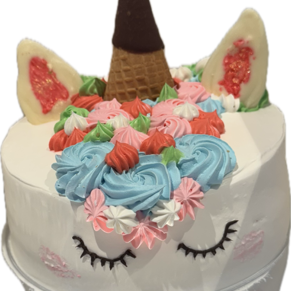 Unicorn multi-colours